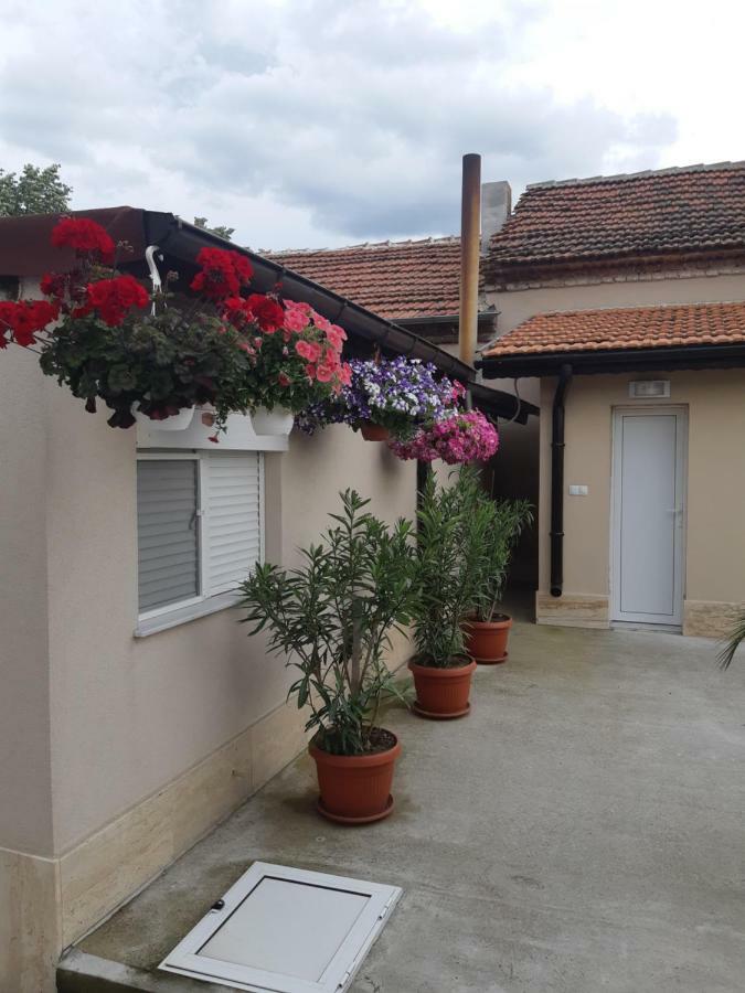 Villa Ros Guest House Svilengrad Exterior foto